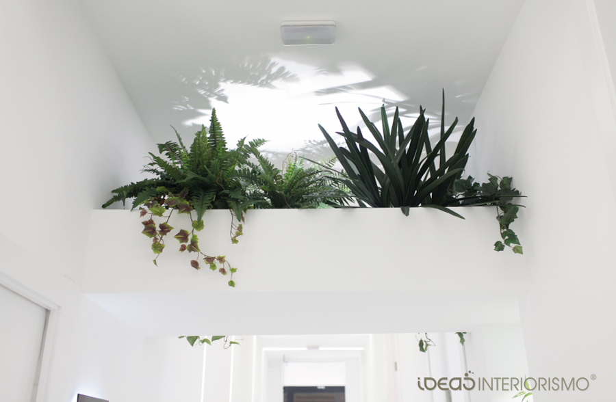 Detalle de la vegetación y la luz indirecta.