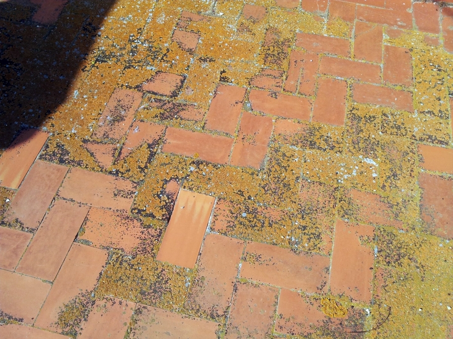 Detalle de pavimento de terraza ANTES