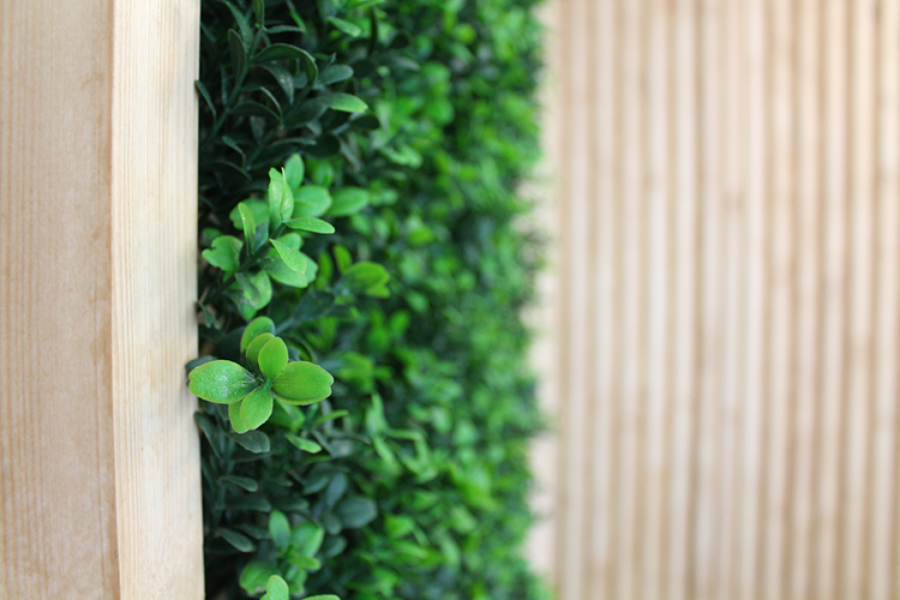 Detalle Deco Vegetal