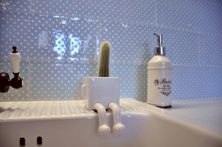 detalle decorativo planta cactus cocina