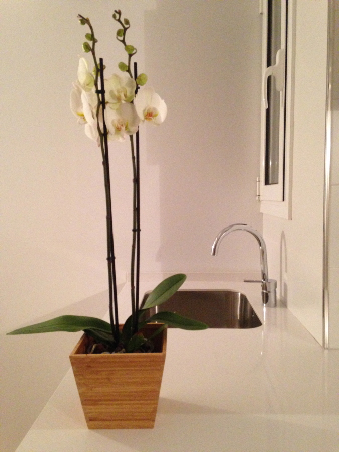 Detalle encimera cocina