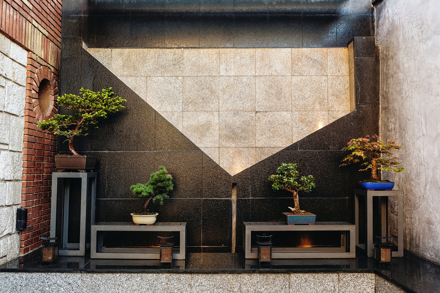 Detalle: Fuente mural Bonsáis en acero y piedra