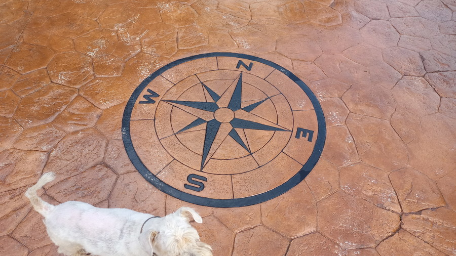 Detalle rosa de los vientos sobre piedra irregular