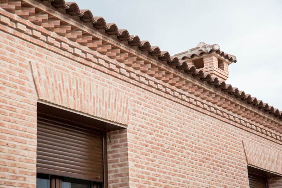 Detalle sardiné y chimenea