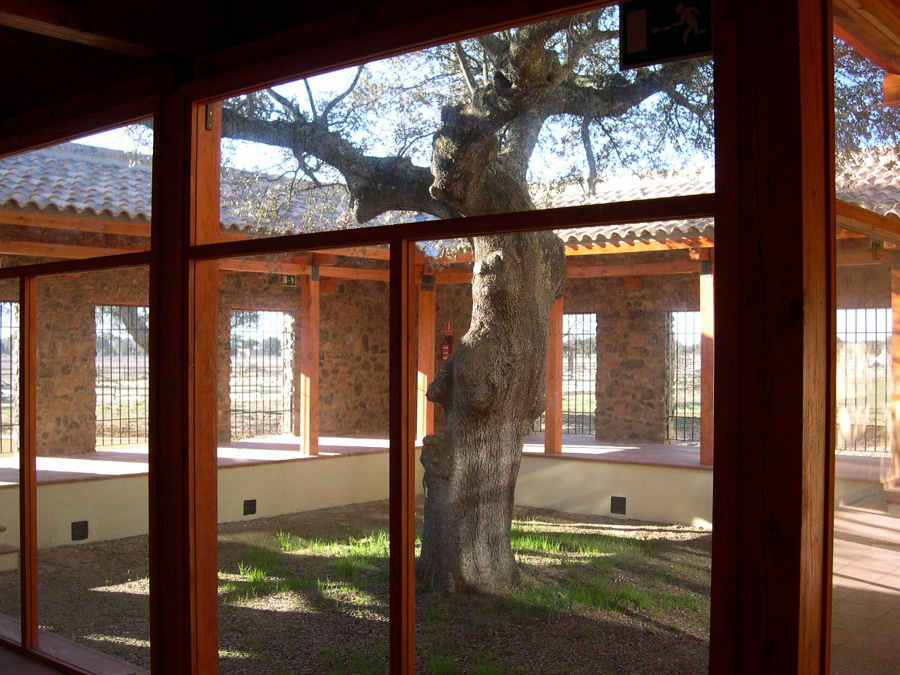 Detalle ventanal de vidrio entre pilares madera