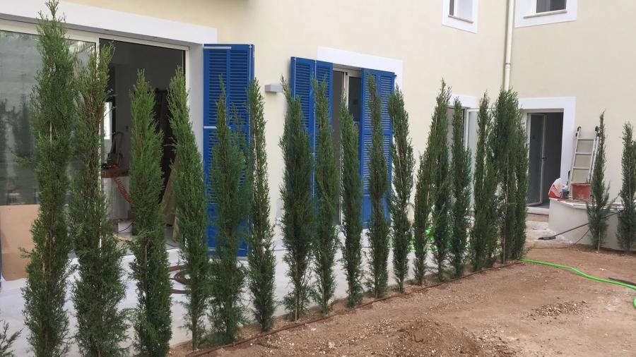 Detalles de separación entre piscina y terraza