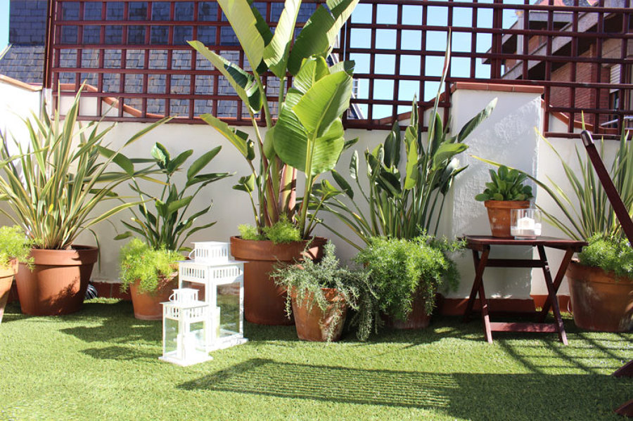 Detalles decorativos de la terraza