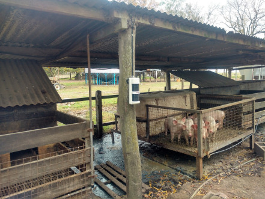 Detector para zona de animales