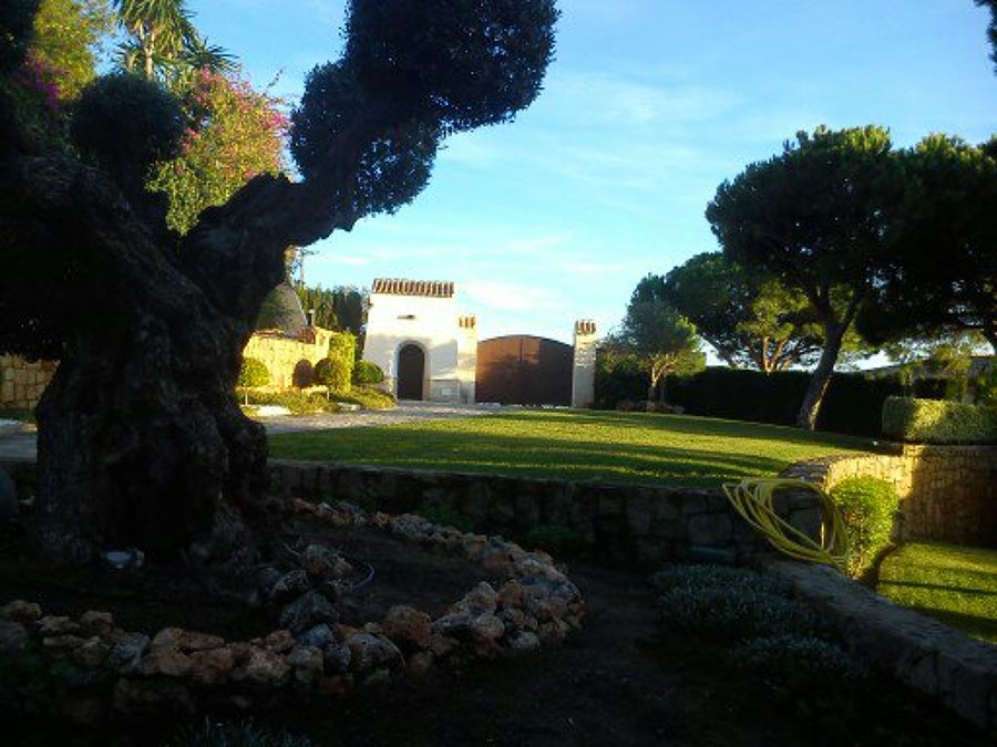 diseñamos tu jardín a medida