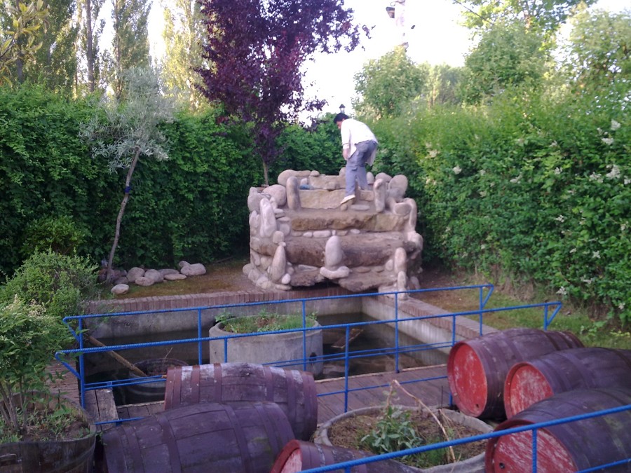 Diseño de estanque con cascada