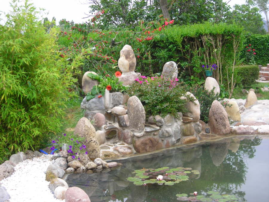 Diseño de estanque con cascada