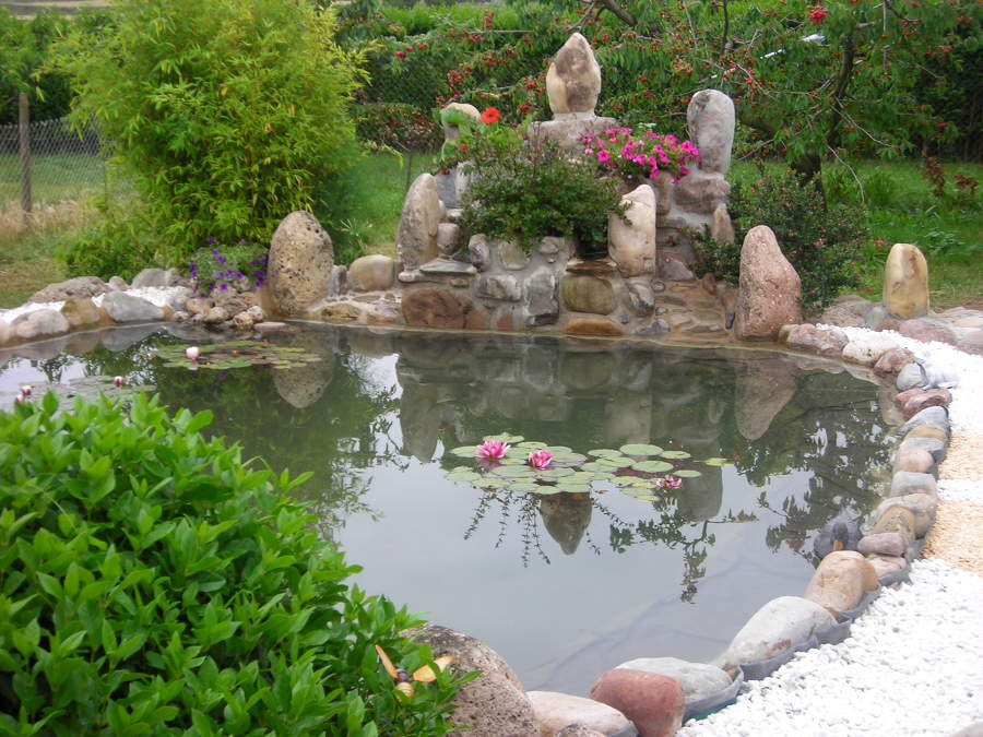 Diseño de estanque con cascada