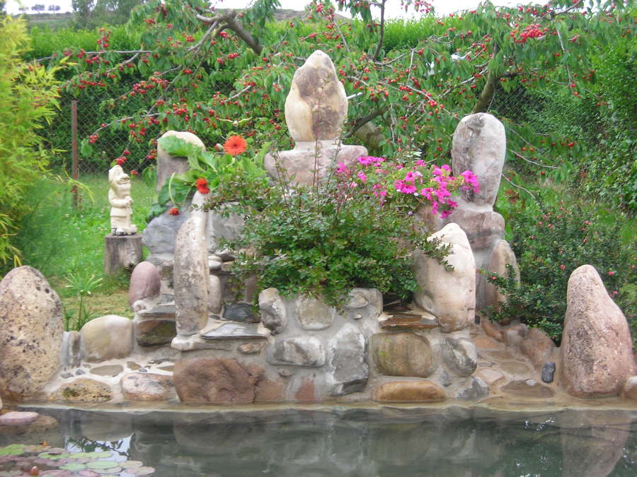 Diseño de estanque con cascada