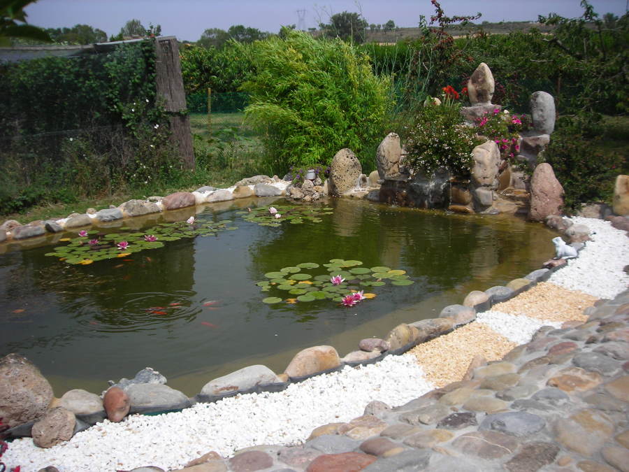 Diseño de estanque con cascada