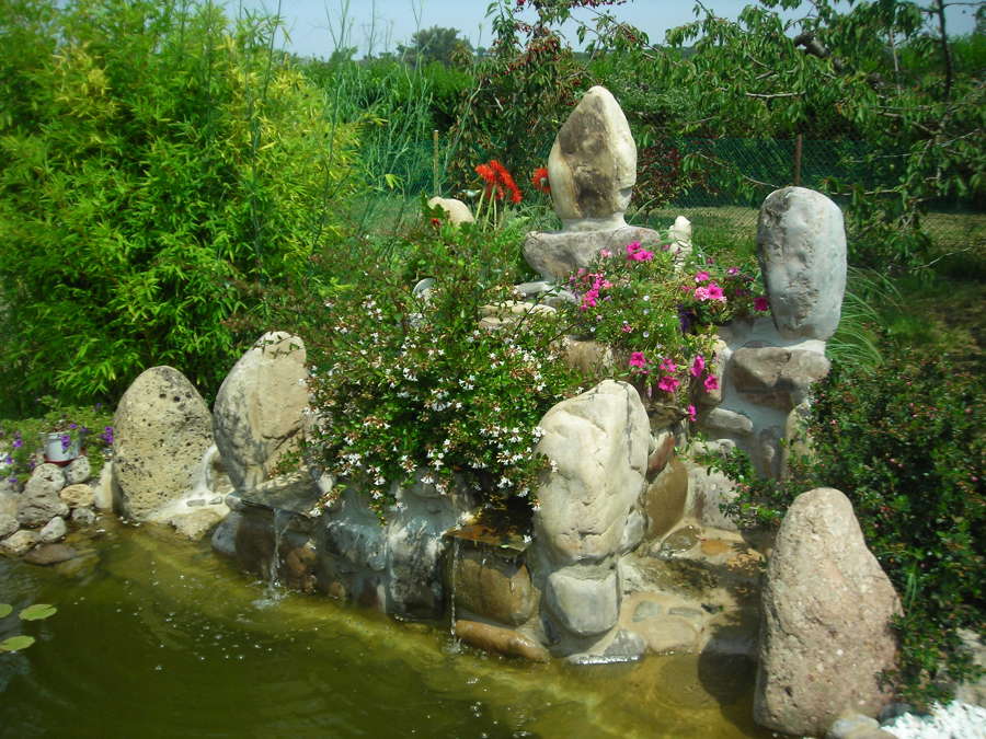 Diseño de estanque con cascada