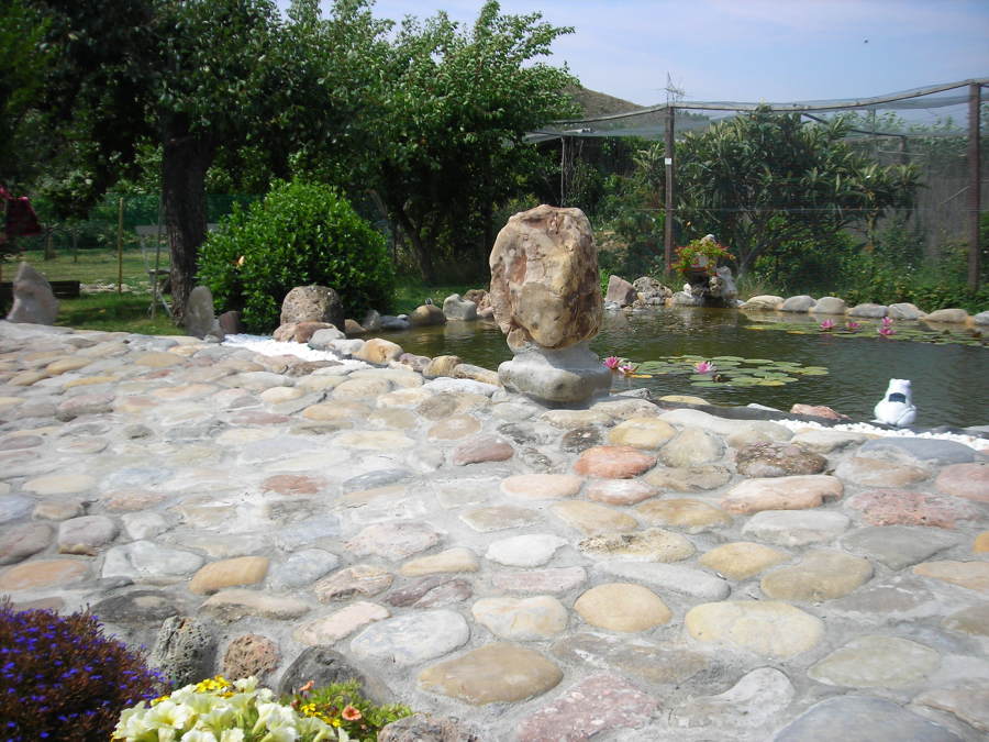 Diseño de estanque con cascada