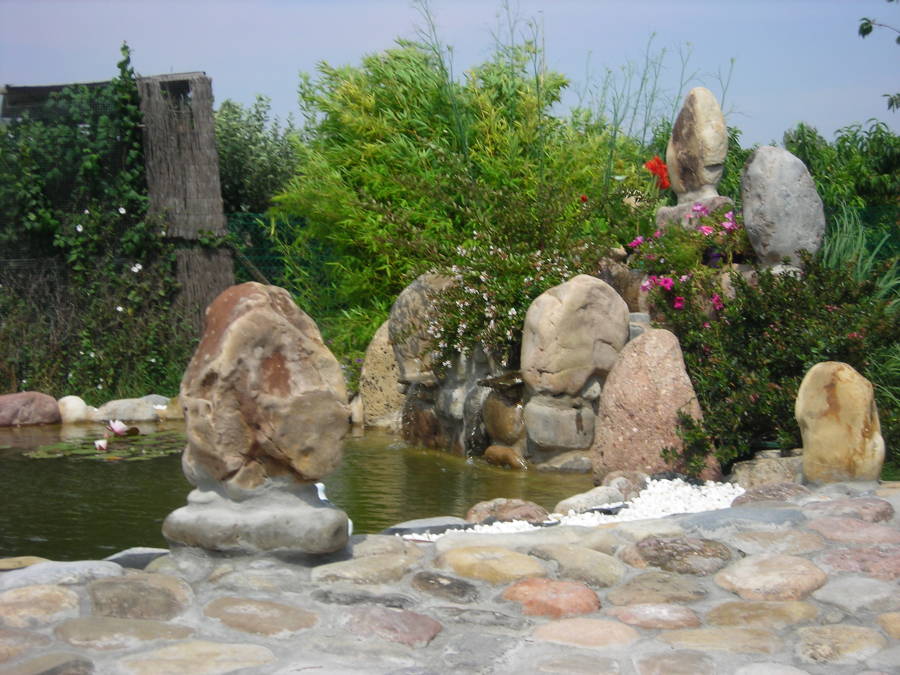 Diseño de estanque con cascada