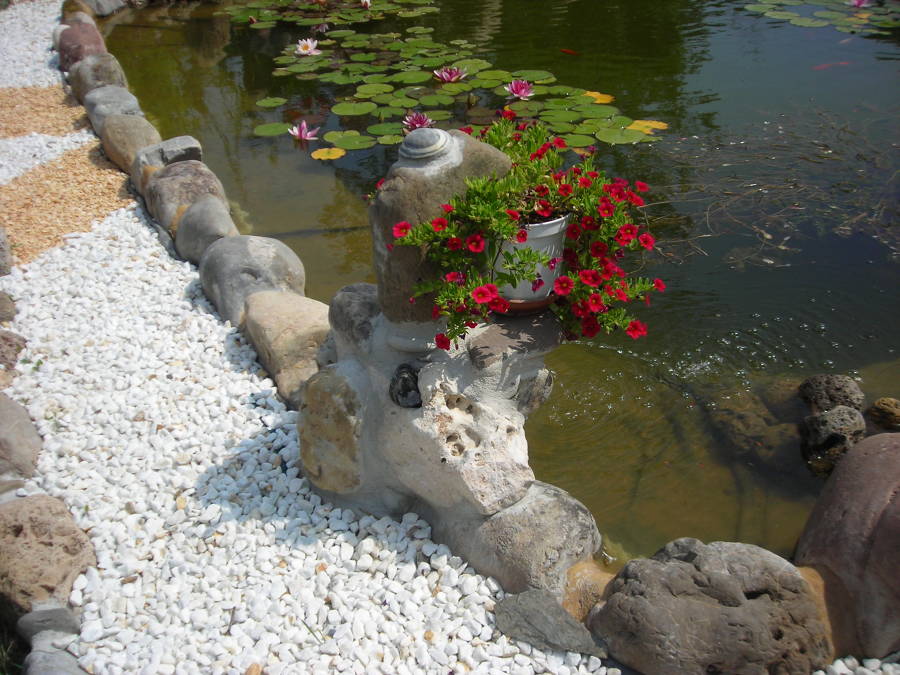 Diseño de estanque con cascada