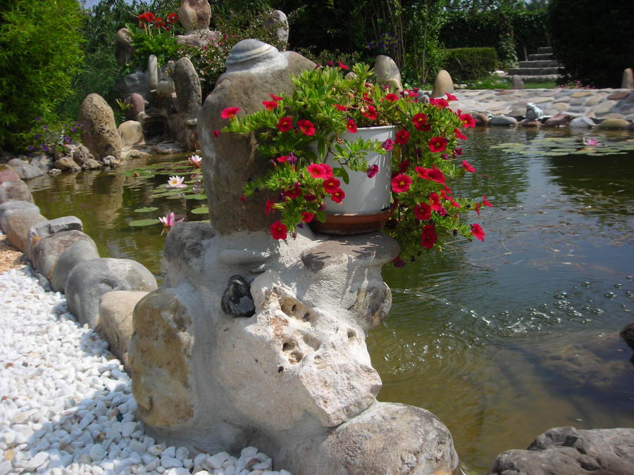 Diseño de estanque con cascada