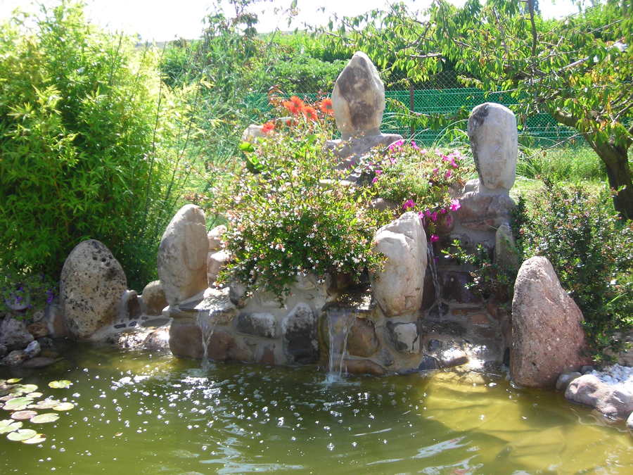 Diseño de estanque con cascada
