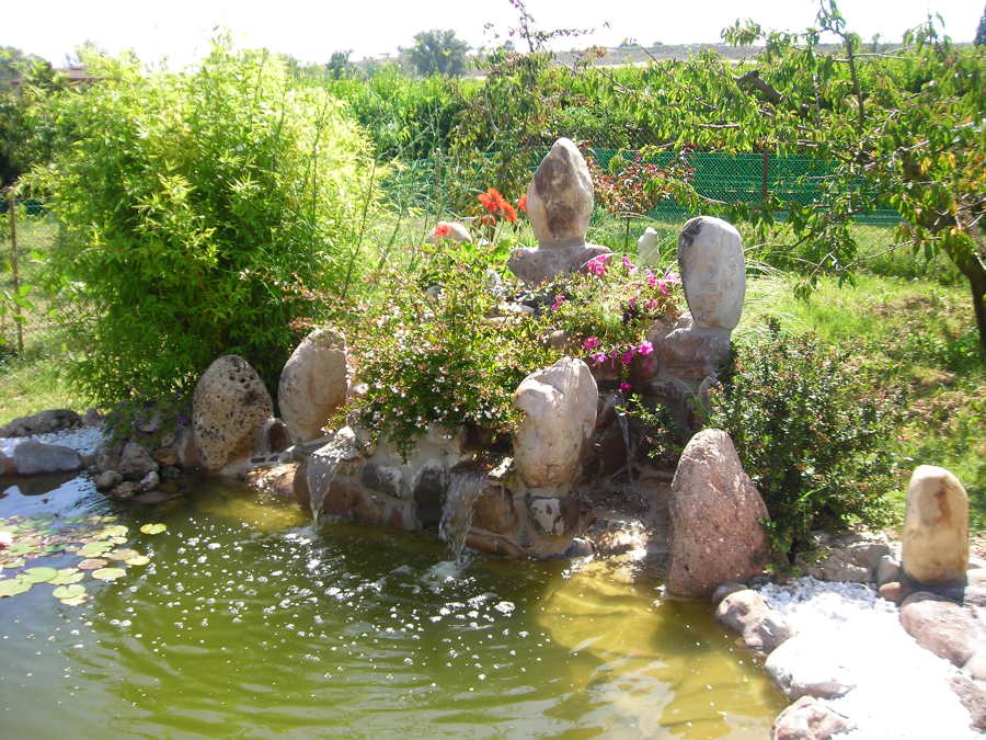 Diseño de estanque con cascada