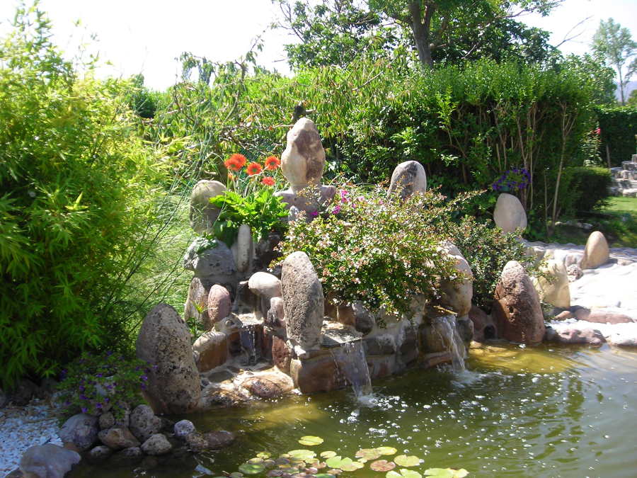 Diseño de estanque con cascada