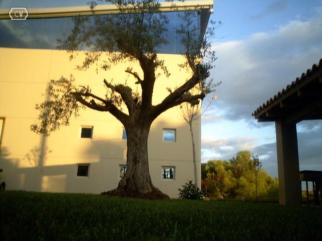 DISEÑO Y EJECUCIÓN EDIFICIO PARQUE TECNOLÓGICO DE VALENCIA
