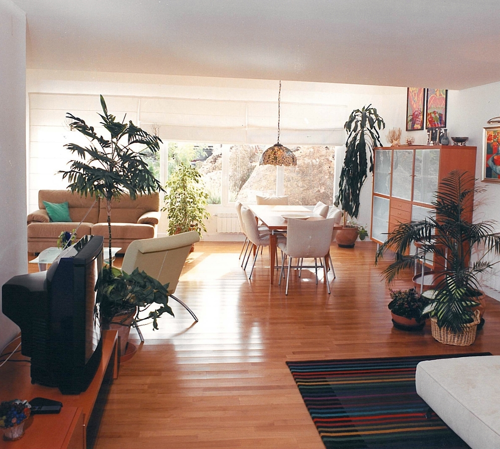 Distribución Interior