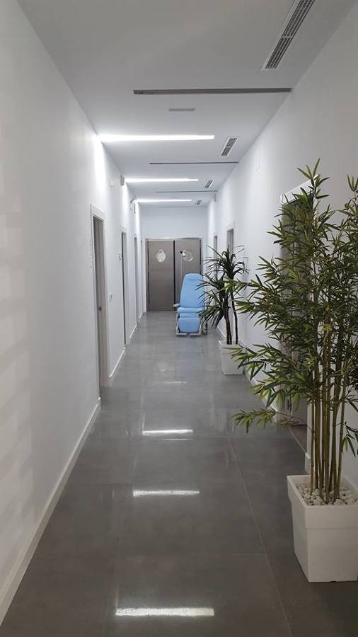 Distribuidor principal.