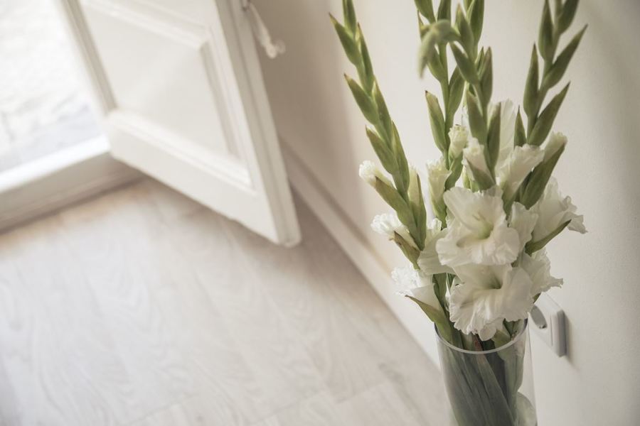 Dormitorio Principal