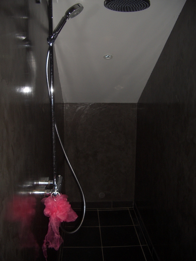 Ducha del baño principal