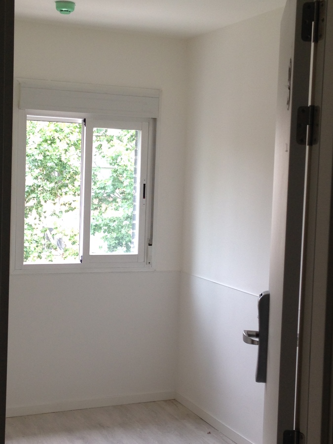 EJECUCIÓN DE  PINTURAS EN LAS OBRAS DEL COLEGIO MAYOR DE LA FUNDACIÓN SEPI EN MADRID