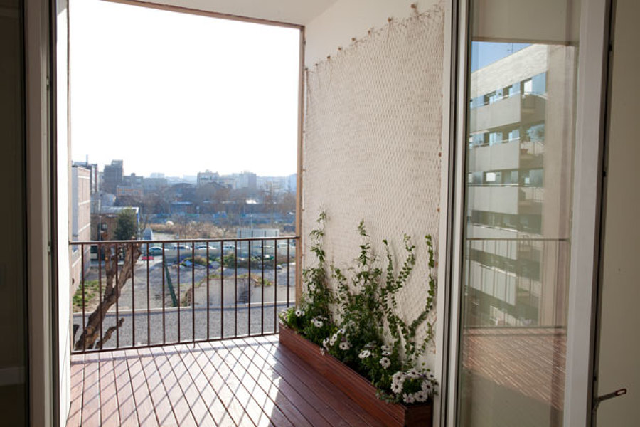 El balcón con inicio de jardin vertical