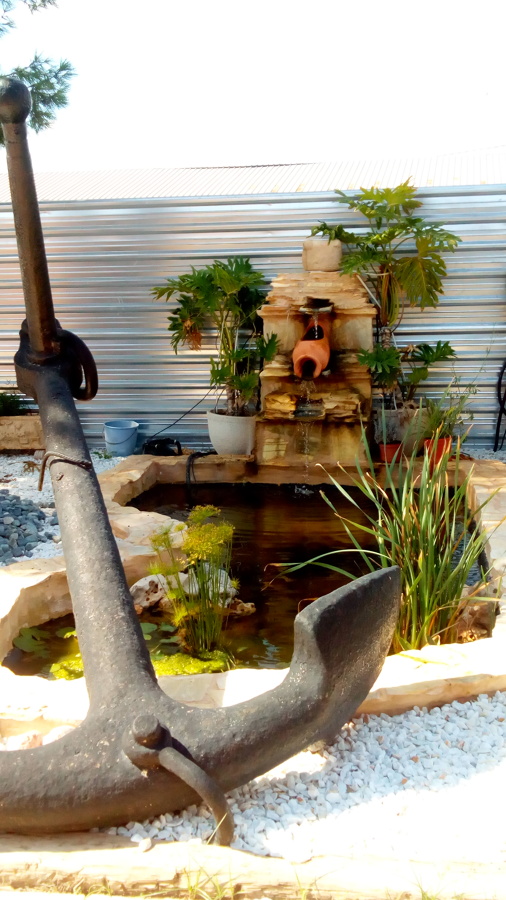 El colorido de un estanque que te enamora