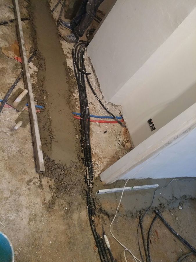 El proceso de la roforma