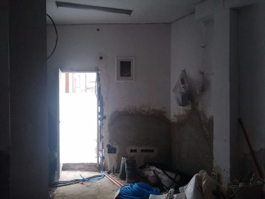 El proceso de la roforma