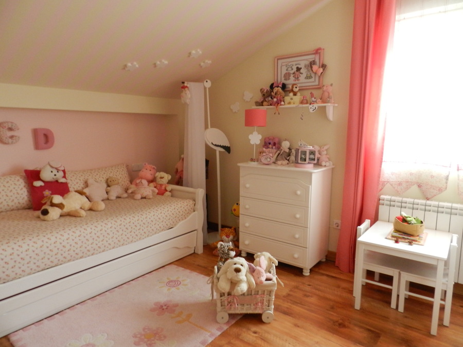 EL ROSA Y LA LUZ COMO PROTAGONISTAS