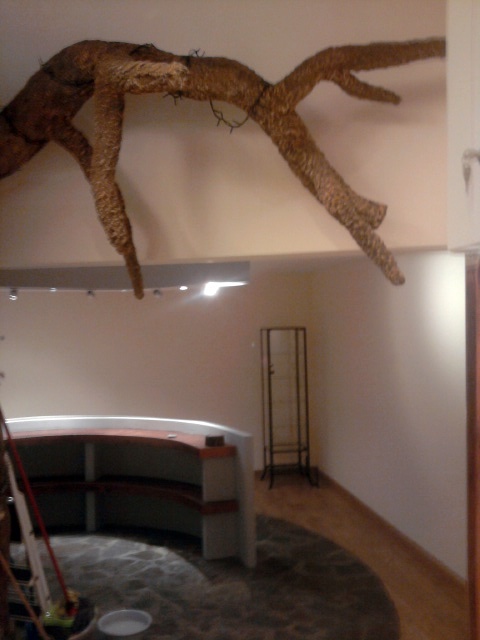 elementos de corativos