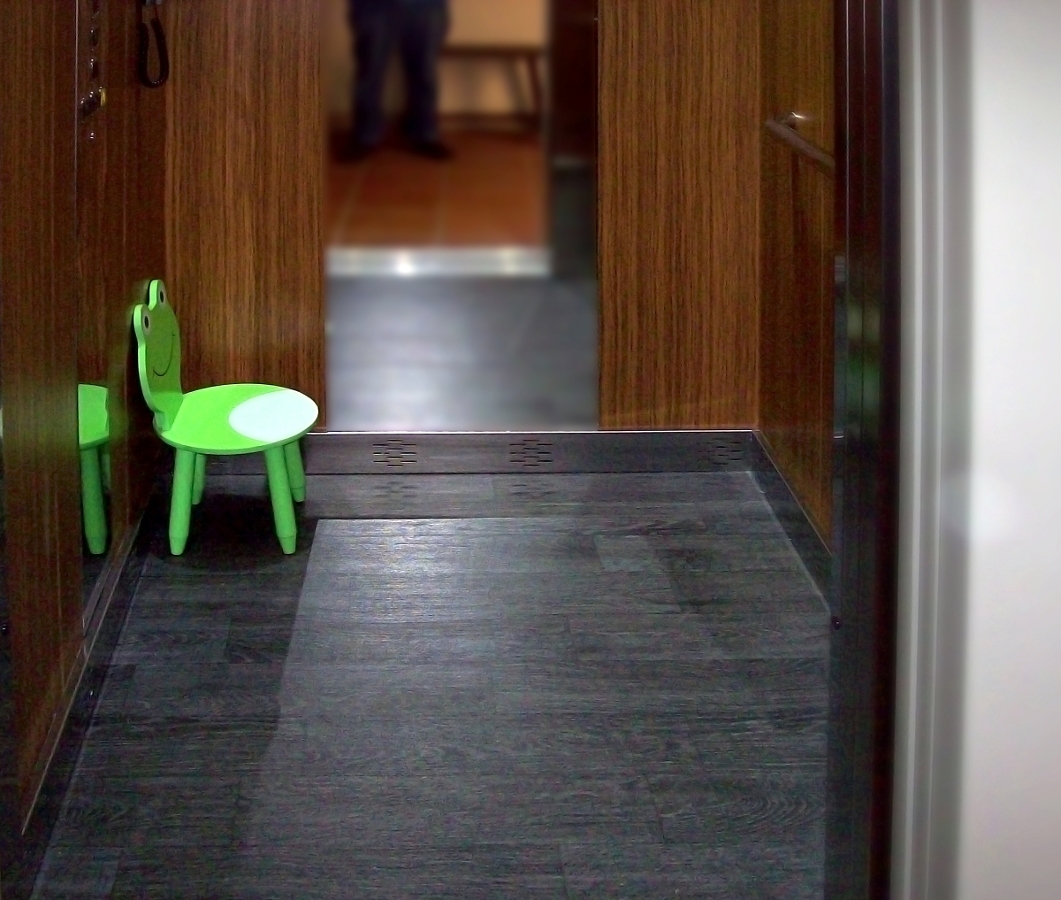 ELEVADOR DOMÉSTICO 03