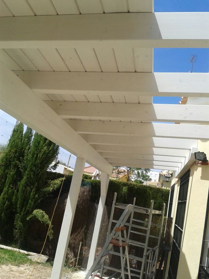 empezamos a tener sombra