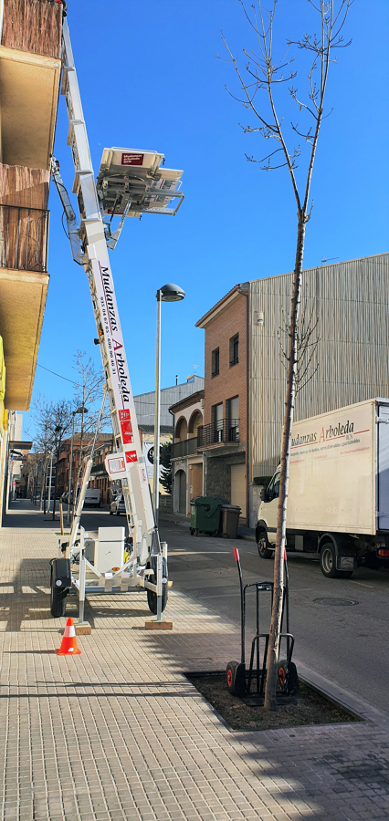 empresa de mudanzas en cardedeu