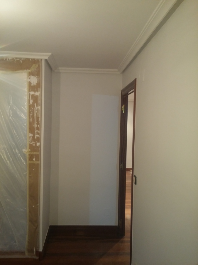 Enlucido de paredes/techos y pintado