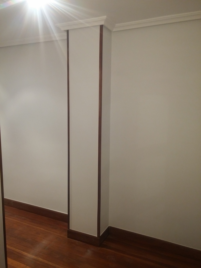 Enlucido de paredes/techos y pintado