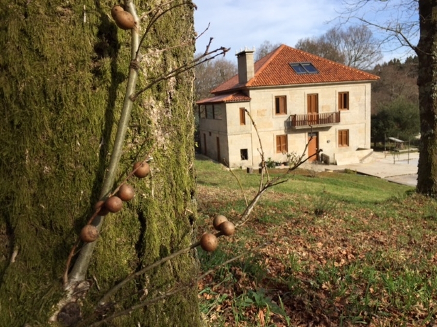 ENTORNO DE FACHADA POSTERIOR