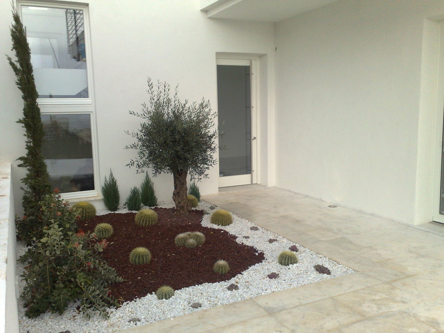 Entrada