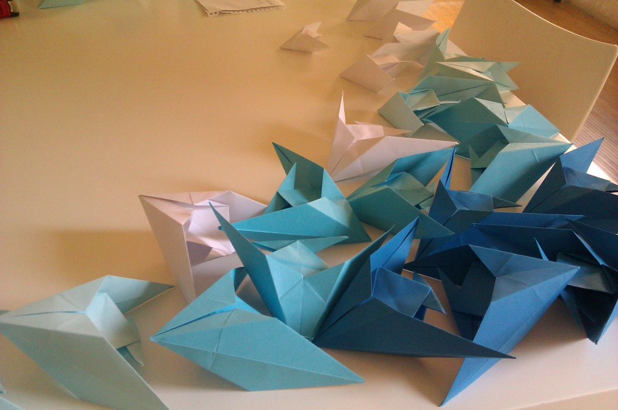 Escaparate Óptica St. Pol