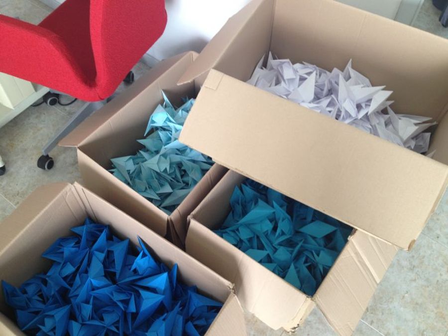 Escaparate Óptica St. Pol