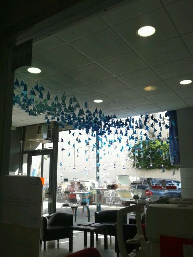 Escaparate Óptica St. Pol