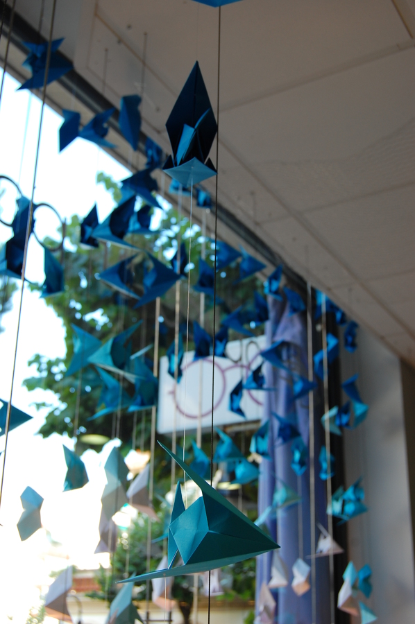 Escaparate Óptica St. Pol