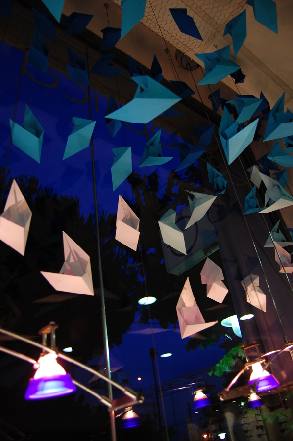 Escaparate Óptica St. Pol